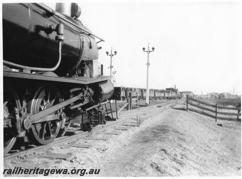 P00541
Firewood trains at Kamballie, B line, loco on left arriving from Lakeside, train in the background arriving from Kurrawang.
