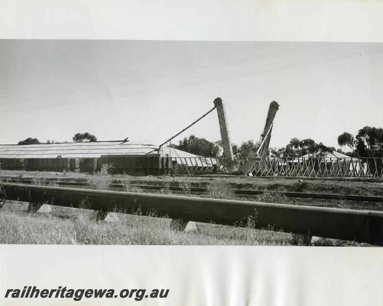 P00769
Rail wagons, wheat bin, grain elevators, Cunderdin, EGR line, loading wheat into the rail wagons
