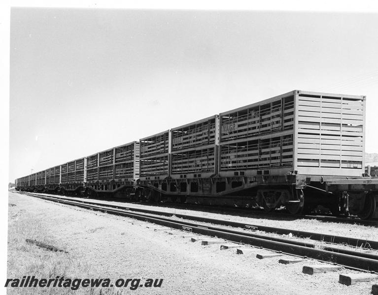 P00846
WQCX class flat top wagons with sheep containers, side and end view
