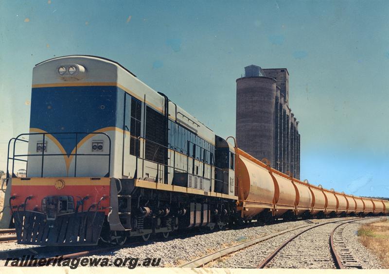 P00991
K class 203, hauling train of WW class wheat hoppers, Avon Yard.
