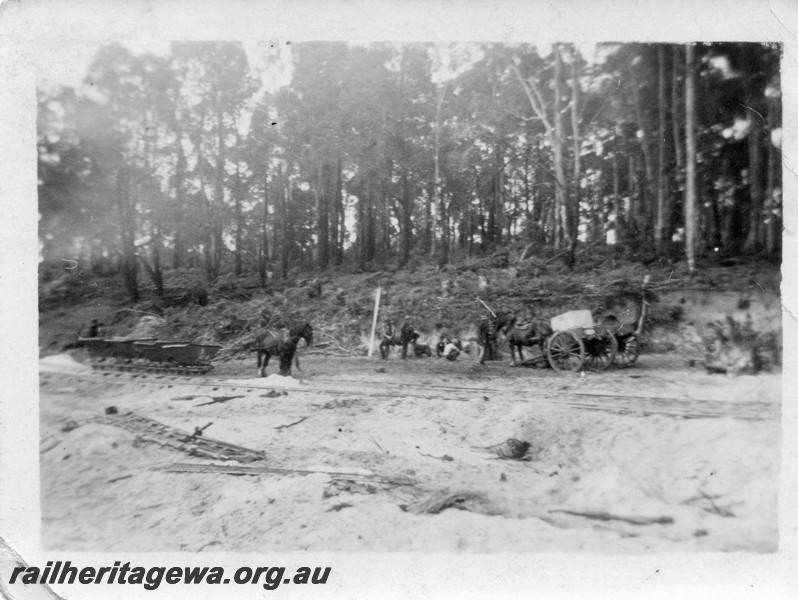 P01062
Track construction, horse drawing a rake of narrow gauge hopper wagons, other horse drawn vehicles in the view
