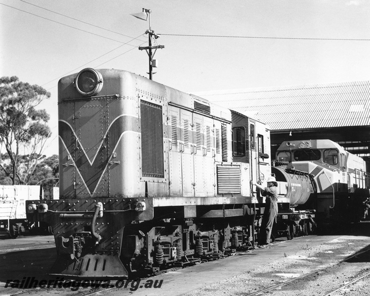 P01461
Y class 113, Narrogin loco depot, GSR line, DB class coupled behind, front and side view.
