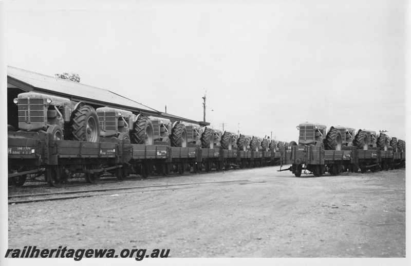 P01787
2 of 3 images of a rake of H class wagons loaded with Chamberlain tractors, end and side views
