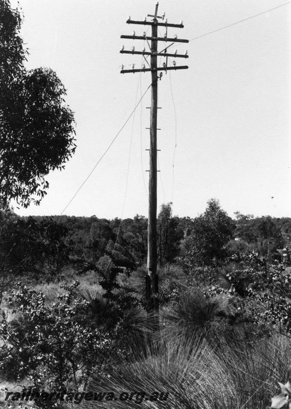 P01868
Telegraph pole, wooden with multiple cross arms, Werribee on the abandoned ER line
