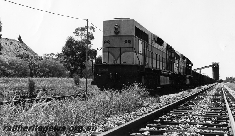 P01921
L class 255 double heading with another L class hauling wagon through the iron ore loading plant at Koolyanobbing, view along the train.
