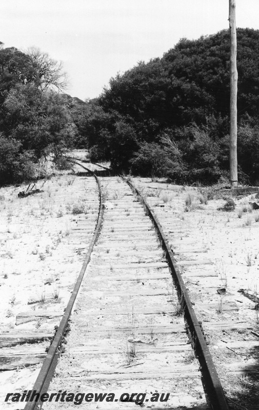 P02285
Track on the Army railway on Rottnest Island, view along the track
