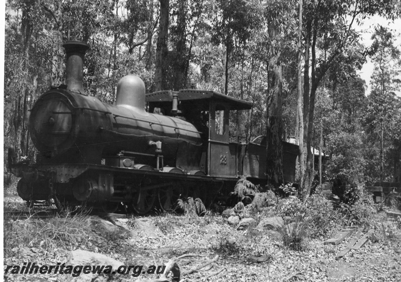 P02841
Bunnings M class 23 steam locomotive (formerly M class 1E) on a timber tramline at Yornup, front and side view.
