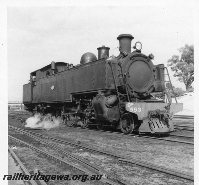 P03421
DD class 593 steam locomotive, side and front view, East Perth Loco shed.
