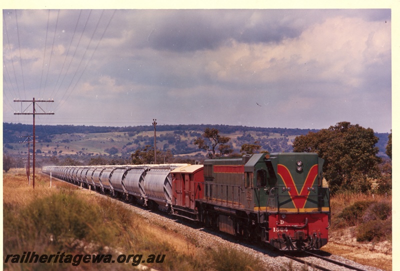 P03748
4 of 4, D class 1564 diesel locomotive hauling XF class alumina hoppers and brakevan, en route to Kwinana, side and front view.
