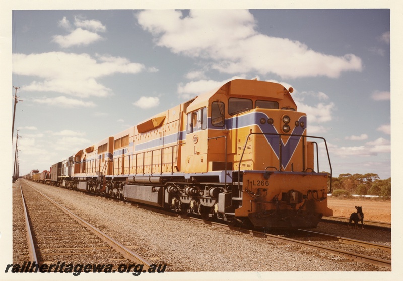 P03905
1 of 4, L class 266 diesel locomotive leading a triple headed freight train, running short hood first, side and end view, Westrail orange livery, West Kalgoorlie.
