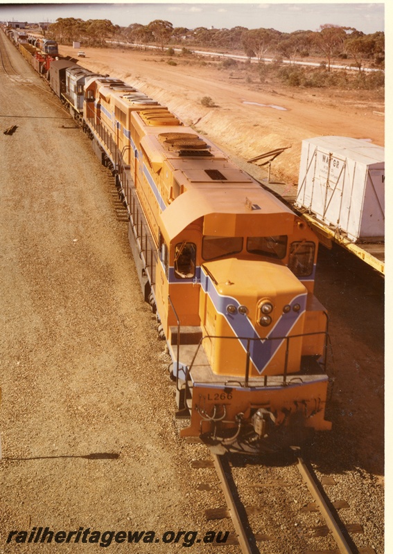 P03907
3 of 4, L class 266 diesel locomotive leading a triple headed freight train, running short hood first, elevated front view, Westrail orange livery, WAGR furniture container, West Kalgoorlie.
