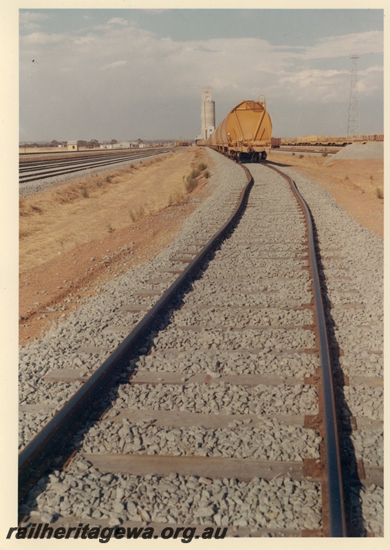 P03985
3 of 3, ground level view of West Merredin yard, buckled rails, wheat train being loaded, standard gauge construction project.
