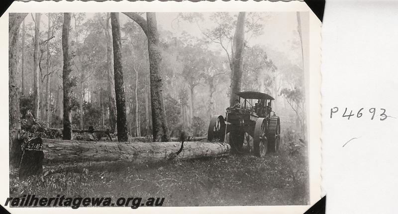 P04693
Millars steam whim hauling log in the bush out of Yarloop
