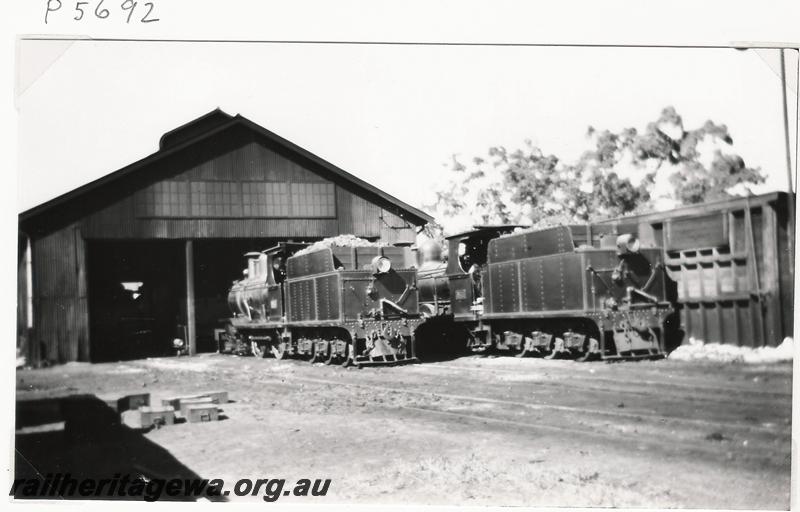 P05692
MRWA locos B class 5, B class 7, loco shed, Midland Junction, rear view of tenders
