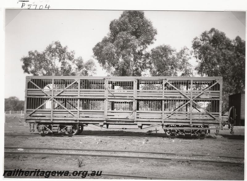 P05704
MRWA D class 656 bogie sheep wagon, Mingenew, MR line, side view
