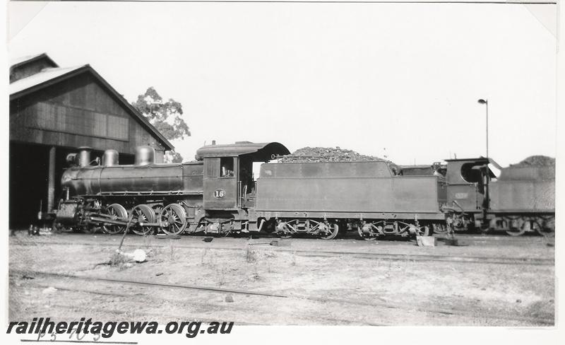 P05705
MRWA loco C class 15, loco shed, Midland Junction.
