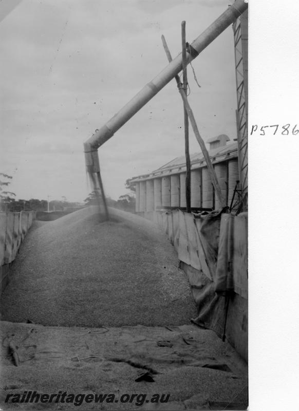 P05786
Wagon being loaded with wheat showing the hessian liners
