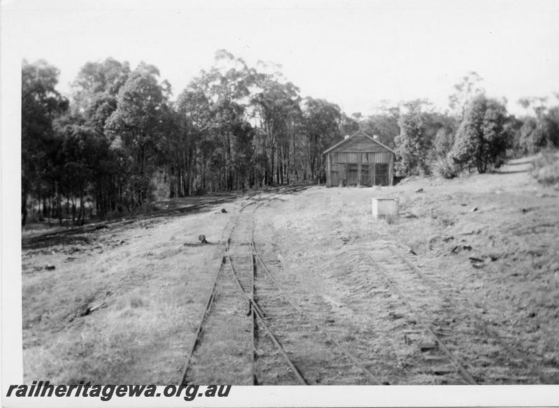 P05959
Loco shed, Mornington Mill showing tracks leading to the bush line
