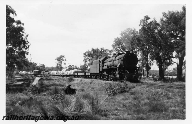 P06480
V class 1217, near Bowelling, BN line, on goods from Narrogin to Collie
