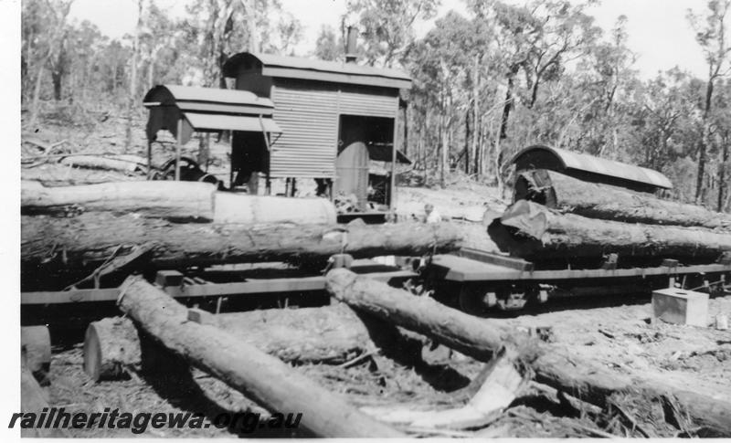 P06543
Steam winch, roof of 4 wheel van, timber jinkers loaded with logs, Banksiadale line north of Collie, ARHS tour.
