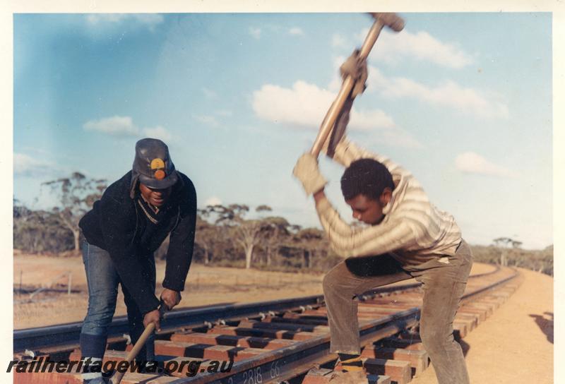 P06716
Track layers (Thursday Islanders) hammering in track spikes, Moorine Rock, Standard Gauge project
