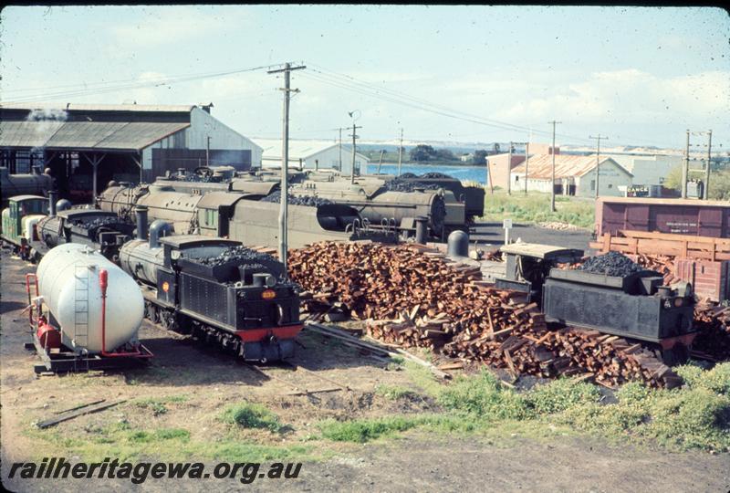 P06848
Overall view of the Bunbury Roundhouse, shows large pile of light up firewood

