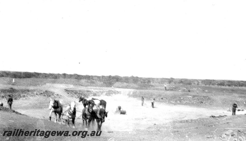 P07299
14 of 19 photos of the construction of the railway dam at Wurarga. NR line, excavation partly complete, shoes horse teams at work
