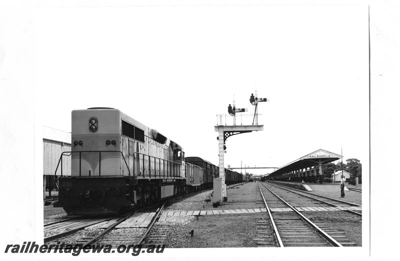 P07703
L class 251, signals, station platform, Kalgoorlie, freight train
