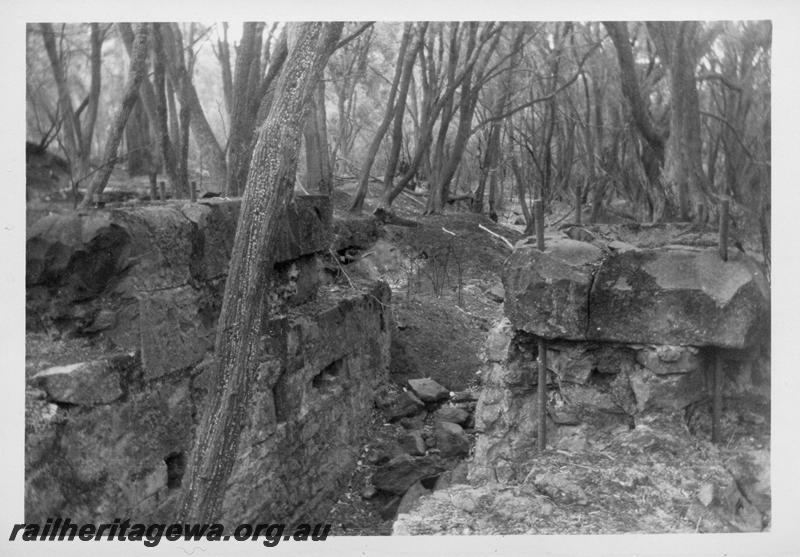 P08265
Site of M. C. Davies Boranup mill, engine foundations exposed due to bushfire
