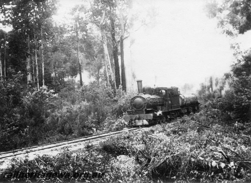 P08313
SSM loco hauling a log train, Pemberton area
