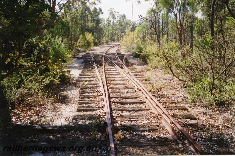 P08381
Track, loop at Quilerup, WN line, out of use, view along track at the Busselton end.
