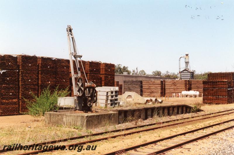 P08779
4 of 4 views of the station at Greenbushes, PP line, loading platform, platform crane, trackside view, stacked timber in background
