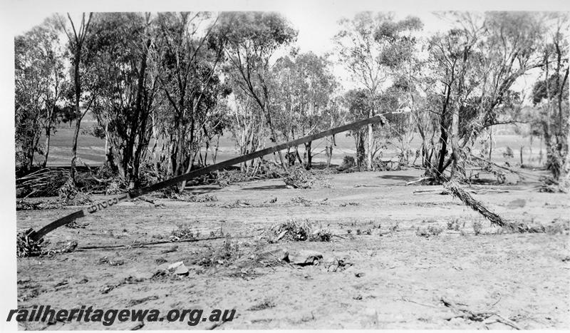 P08876
12 of 15 views of the aftermath of the washaway at Coondle, CM line on the 3rd of March 1934, view shows a telegraph pole bent over due to the floodwaters.
