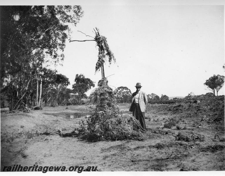P08879
15 of 15 views of the aftermath of the washaway at Coondle, CM line on the 3rd of March 1934, view of an official standing next to a telegraph pole with flood debris up to the top of the pole.
