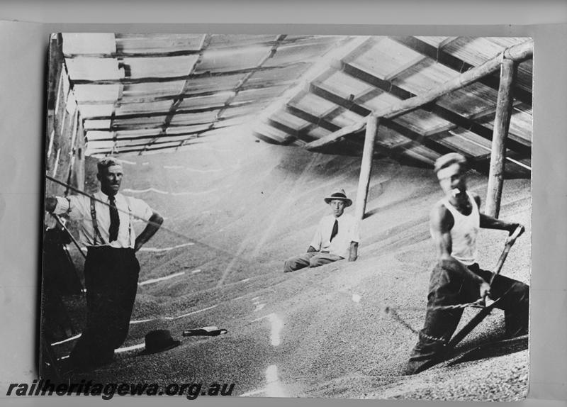 P08883
Internal view of a wheat bin with worker using a machine assisted shovel
