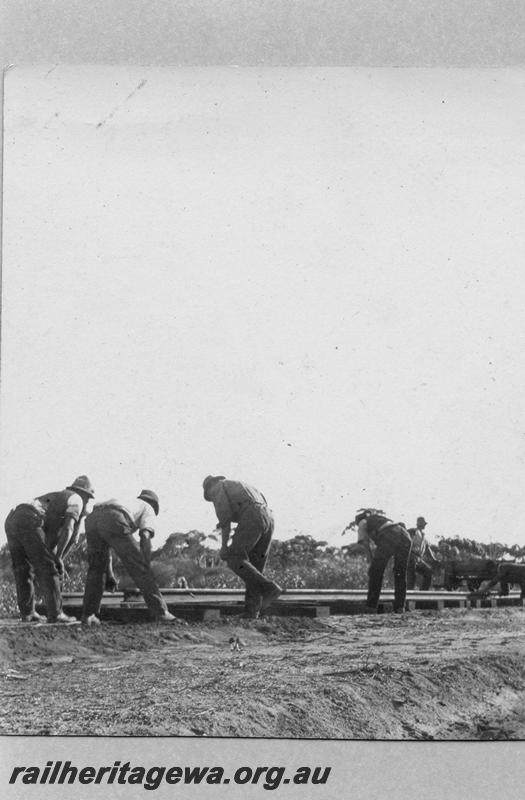 P08891
7 of 29 views of the construction of the Wyalkatchem-Lake Brown-Southern Cross railway, WLB line. Workers laying track
