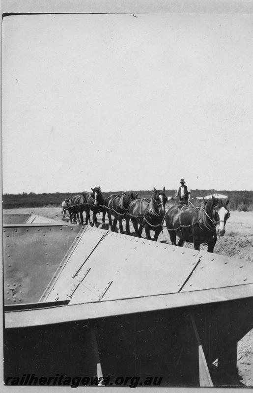 P08893
9 of 29 views of the construction of the Wyalkatchem-Lake Brown-Southern Cross railway, WLB line. L class ballast hoppers, horse team pulling a ballast spreader
