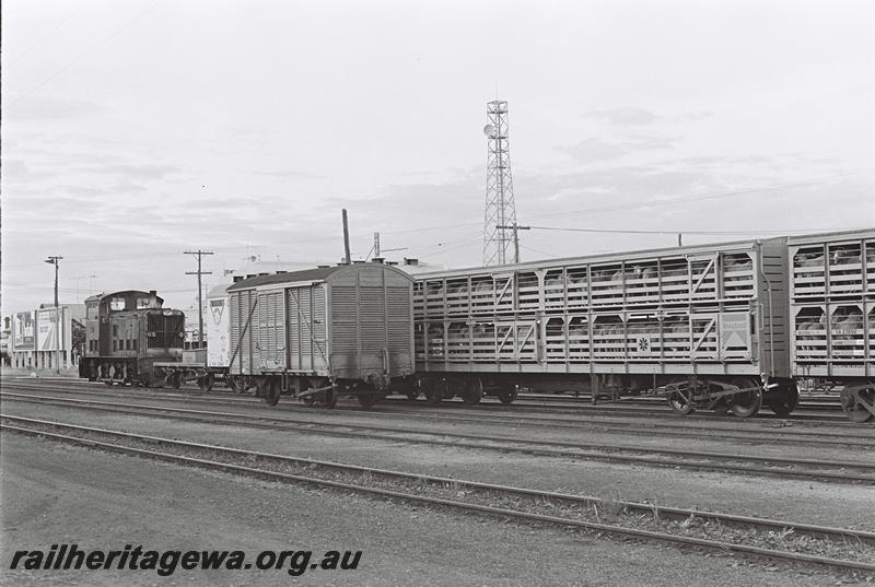P09008
TA class 1811, FD class and two SA class bogie sheep wagons in view 
