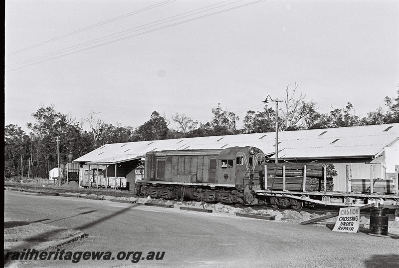 P09026
F class 42, QUA class 25197, Manjimup, PP line, hauling a train of wagons loaded with timber, same train as P9024.
