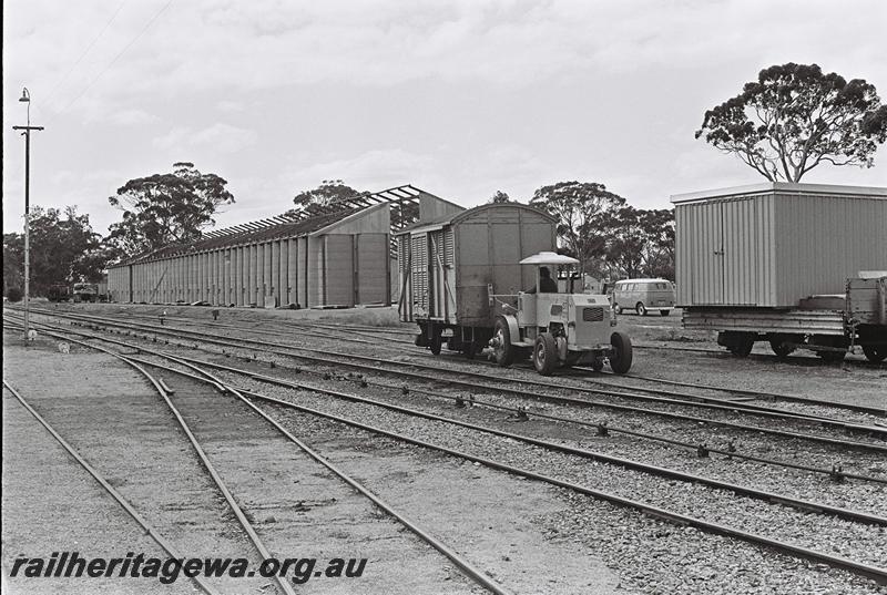 P09050
Shunting tractor,ST11, HC class 21615 with shed on board, wheat bin, Moora, MR line, shunting tractor shunting a FD class van
