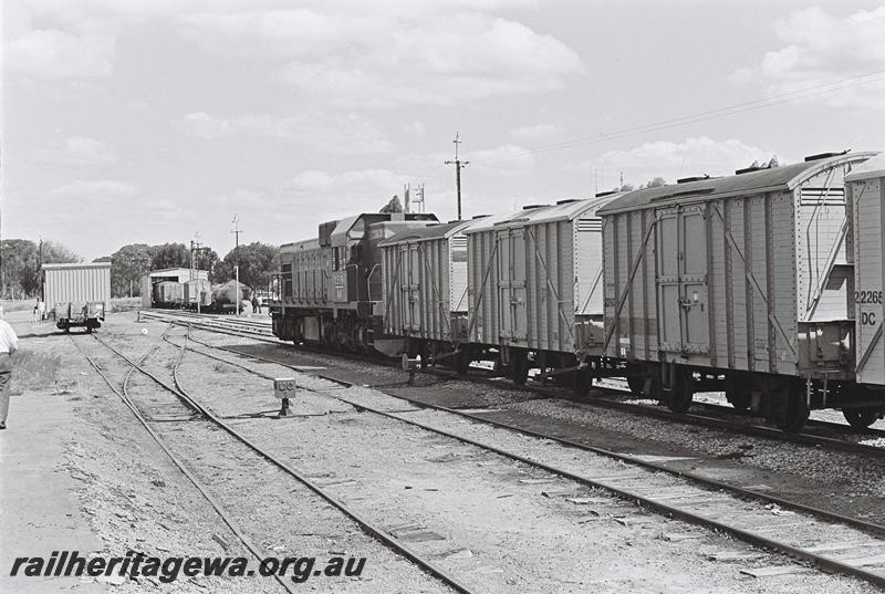 P09062
AA class 1519, HC class 21615 with shed on board, point indicator, Moora, MR line, goods train

