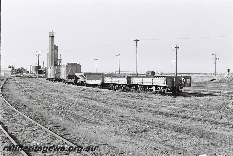 P09066
HC class 21651, HC class 21640 heading a rake of wagons, Bunbury wharf area, wheat silo in background

