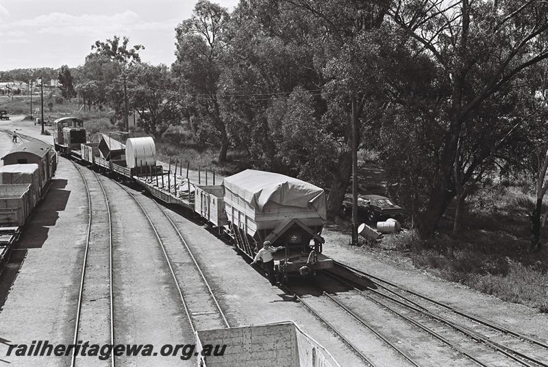 P09081
T class shunting wagons, Narrogin yard, GSR line, elevated view of sidings on the eastern side of the yard, GMD class hopper in the consist.
