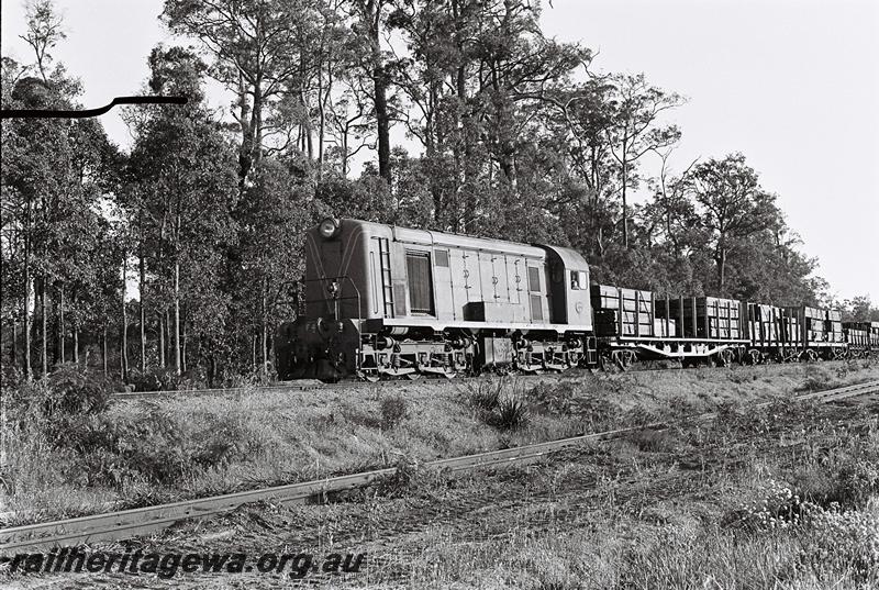 P09093
F class 42, Manjimup, PP line, timber train
