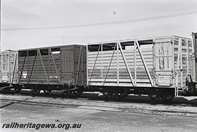 P09114
BE class 20606, BE class 20460 cattle wagons, coupled together, side and end view.
