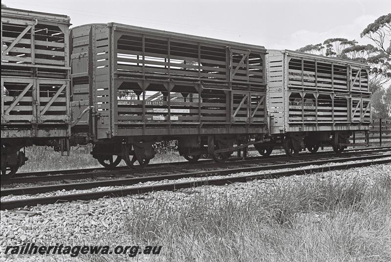 P09139
CXB class 17630, CXB class 17522 sheep wagons coupled together, end and side view
