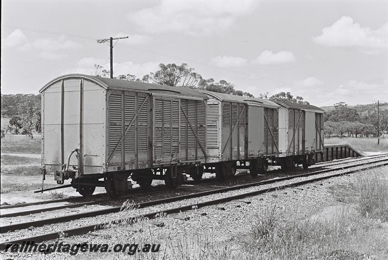 P09154
FD class 13888 louvered van coupled to two FD class louvered vans, Moora, MR line, end and side view, Moora, MR line, side and end view
