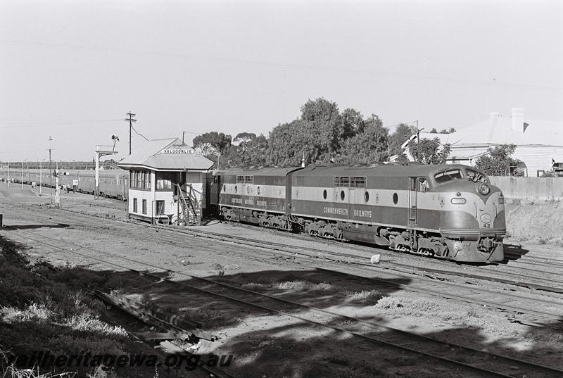 P09186
1 of 5 views of Commonwealth Railways (CR) GM class 42 and GM class 20 hauling 