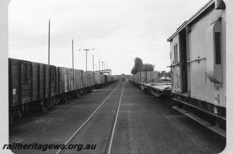 P09513
Meekatharra yard, wagons and brakevan in platform road, X class loco on middle road. NR line.
