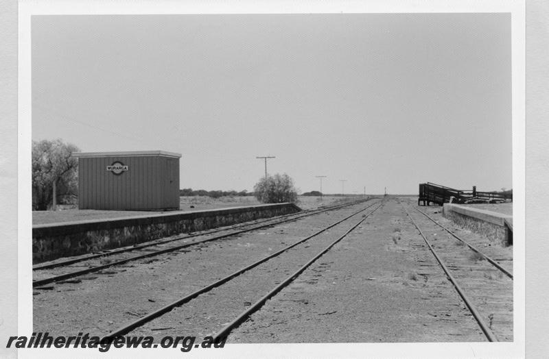 P09519
Wurarga, shed on platform, view down length of yard, loading ramp, stock race, nameboard. NR line.
